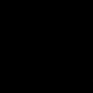 Meet your Posher, Nisreen